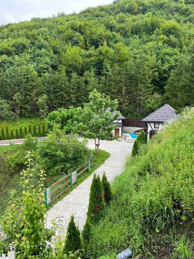Azra River View House *